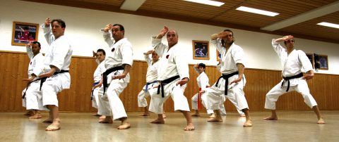 Aikido Lehrgang in Großhadern @ TSV Großhadern