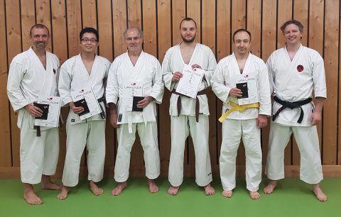 Aikido Lehrgang in Großhadern @ TSV Großhadern