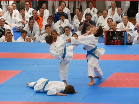 Dänemark Gasshuku mit Sensei Nakamura @ Nykøbing Falster, Dänemark