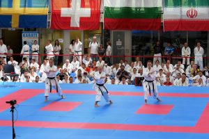 World Karate Day 2017 in München - Kata Synchron Damen