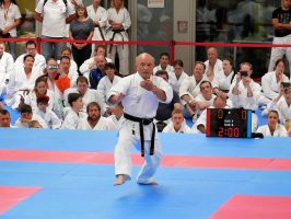 World Karate Day 2017 in München - Kata von Zenpo Shimabukuro, 10. DAN