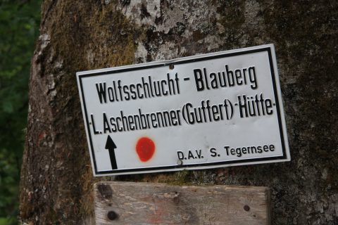 Wegweiser auf Baum