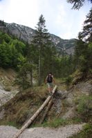 Karate Mitglied auf Baum balanciert über Abgrund