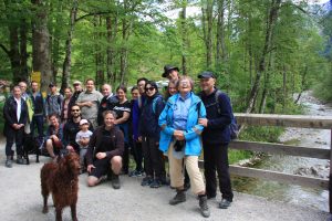 Karategruppe mit Hunden am Flussbett auf Brücke