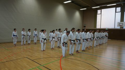 Dänemark Gasshuku mit Sensei Nakamura @ Nykøbing Falster, Dänemark