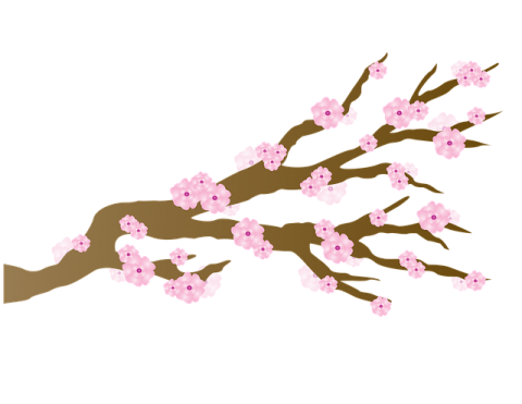 Karate beim Japanfest 2019 München - Kirschblüte