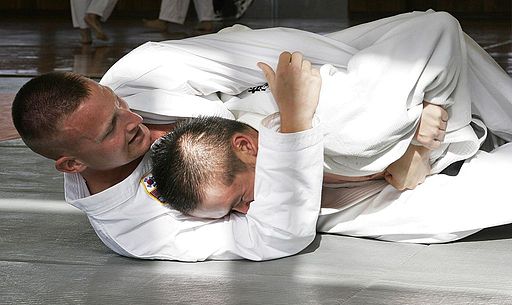 Bodenkampf Karate Lehrgang