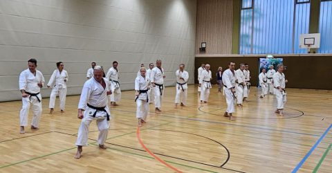 Wir bewegen uns auch beim Okinawa Karate!