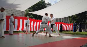 Japanfest 2019 München Karate 13a